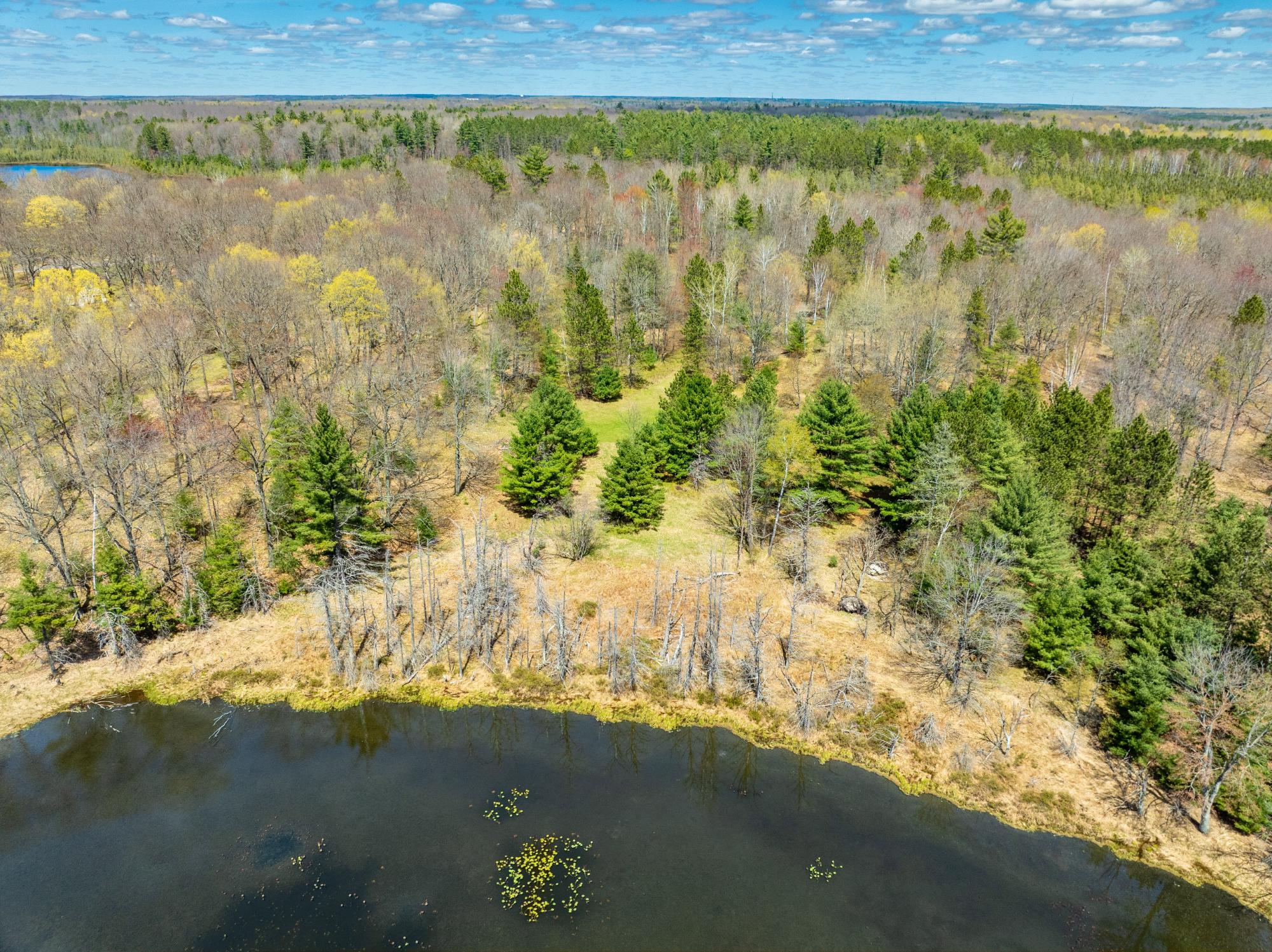 Cook Lake Property 2510 River Rd S Photo 44