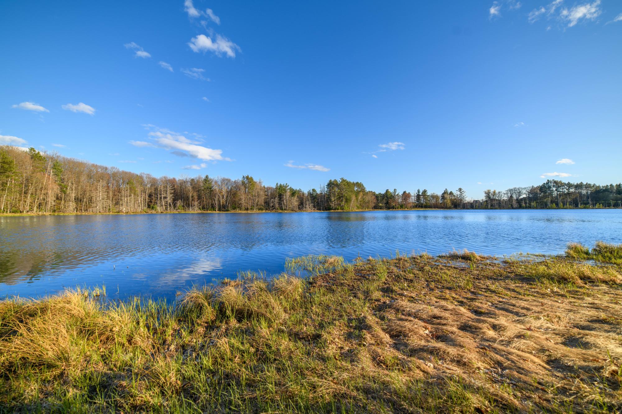 Cook Lake Property 2510 River Rd S Photo 45