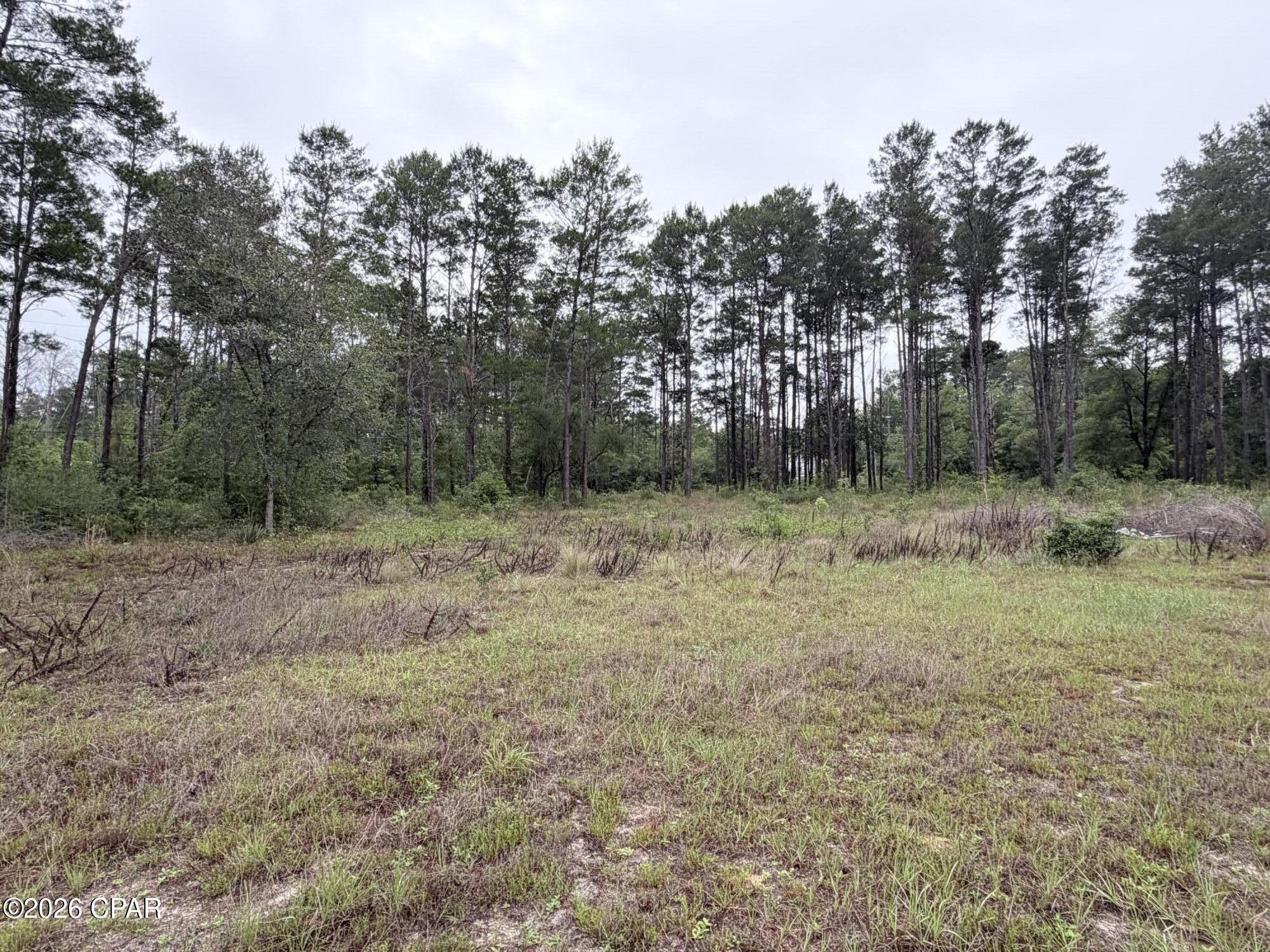 Homes for sale in Panama City, FL | 811 Tashanna Ln, Panama City, FL 32409 | MLS# 789797