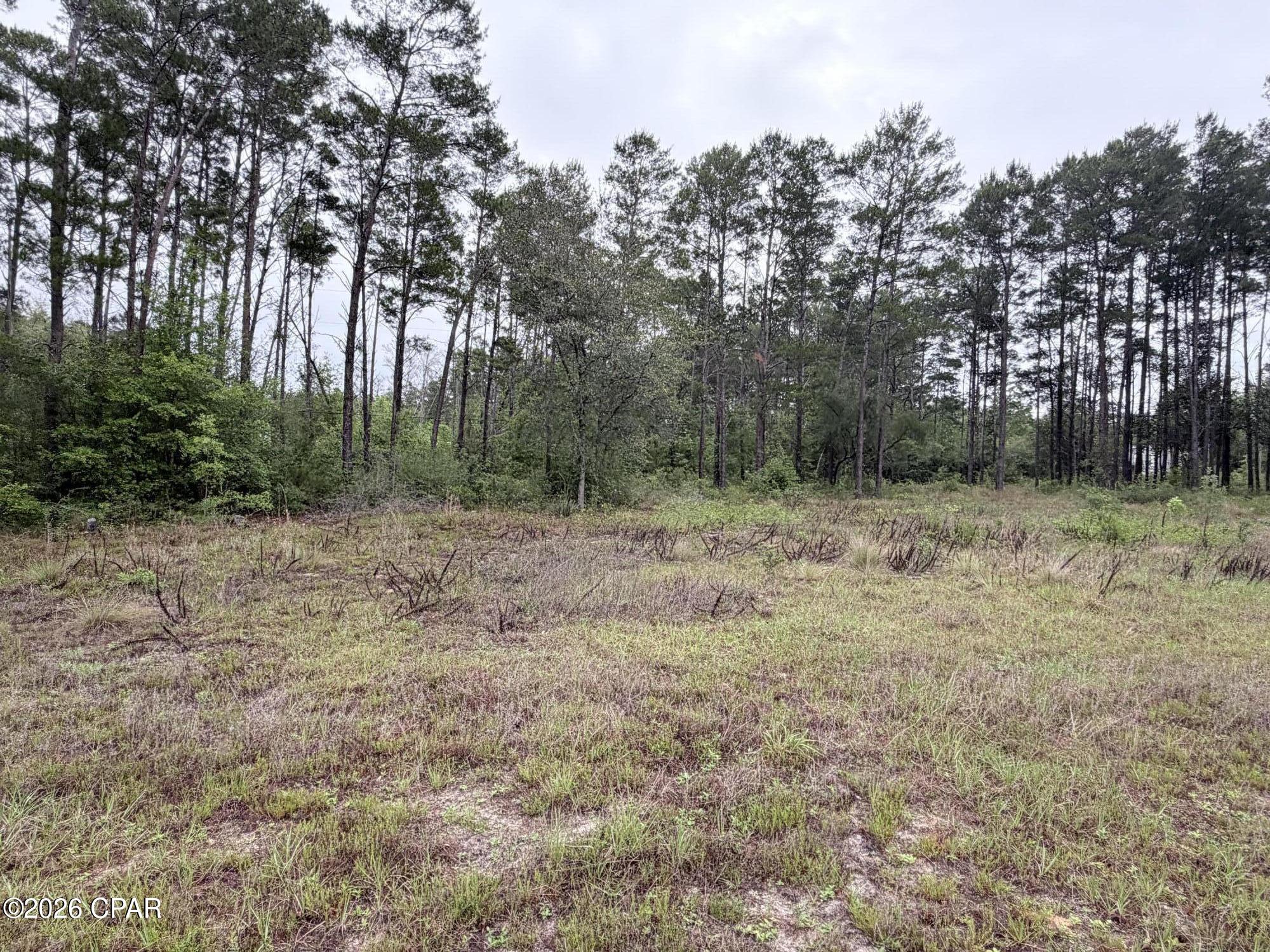 Homes for sale in Panama City, FL | 811 Tashanna Ln, Panama City, FL 32409 | MLS# 789797
