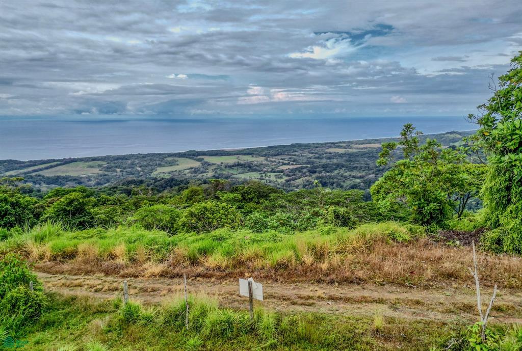  bed Land For Sale in Puntarenas, Puntarenas - 1