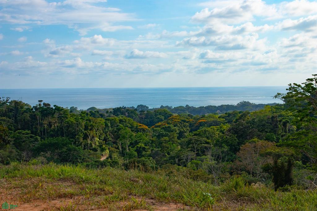  bed Land For Sale in Puntarenas, Puntarenas - 1