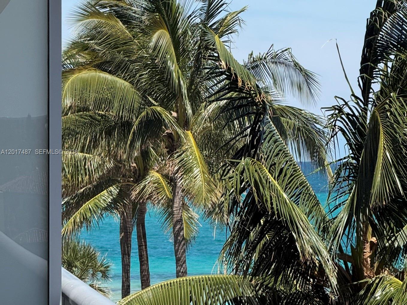 The Caribbean Condo