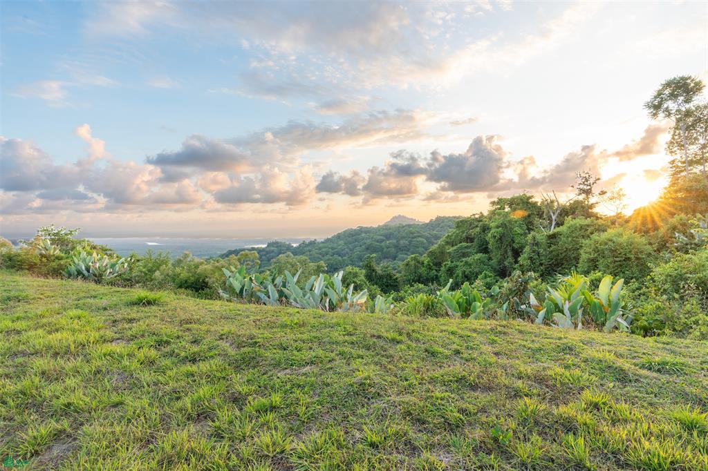  bed Land For Sale in Osa, Puntarenas - 1