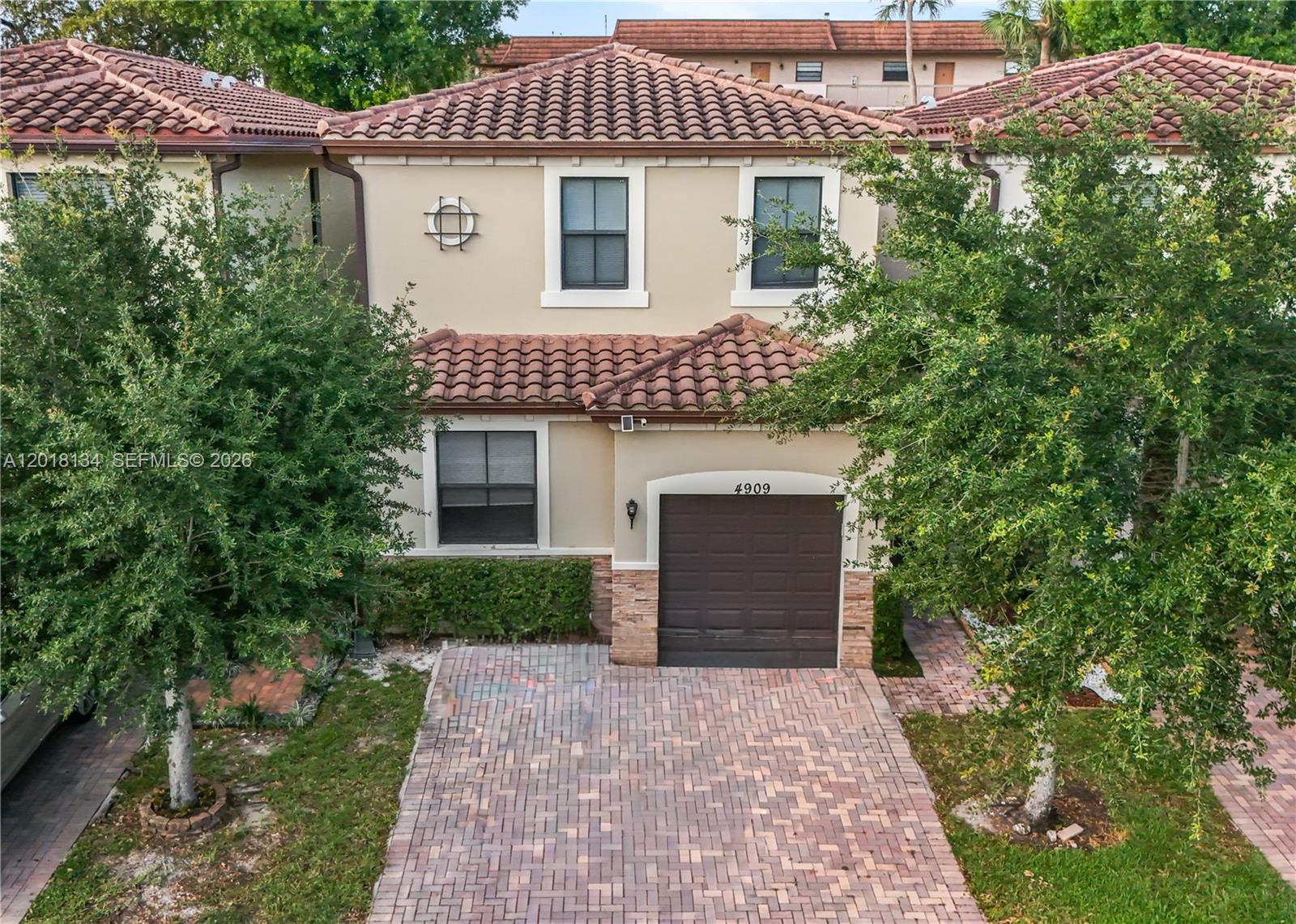 Sabal Palm By Prestige