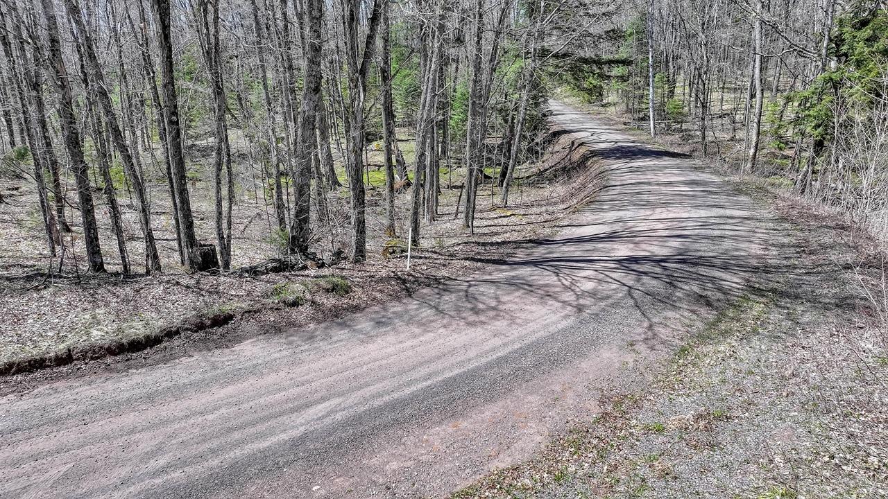 Pardee Lake Property TBD Pardee Lake Ln E Photo 20