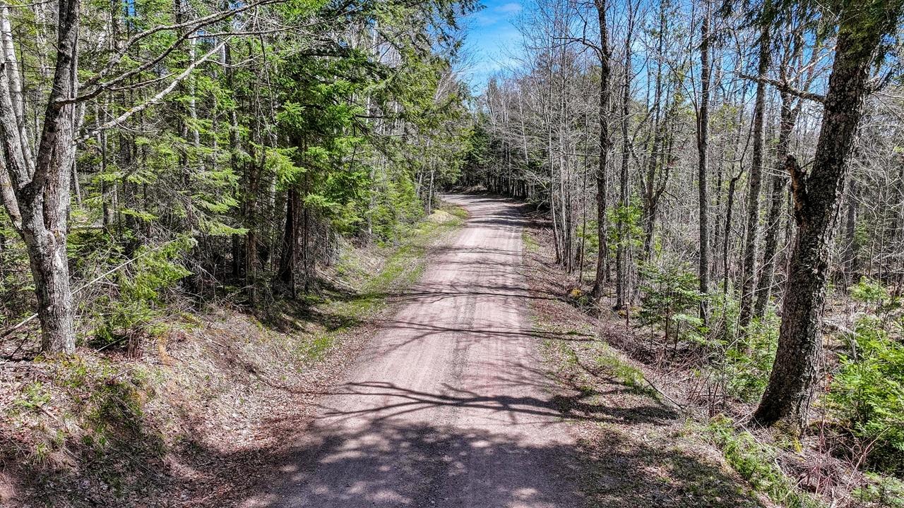 Pardee Lake Property TBD Pardee Lake Ln E Photo 9