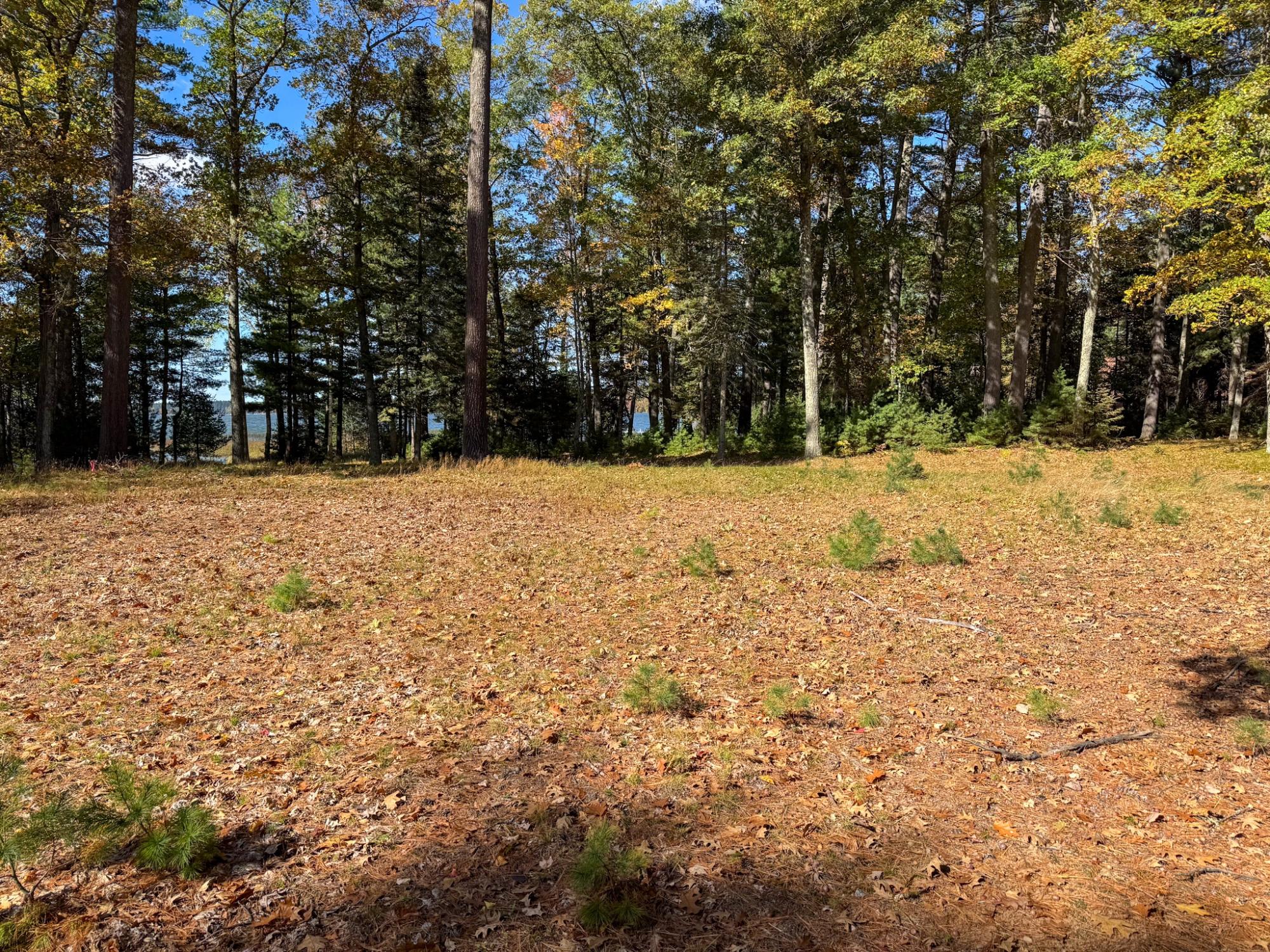 Big St. Germain Property Lot 1 Bear Run Ln Photo 13