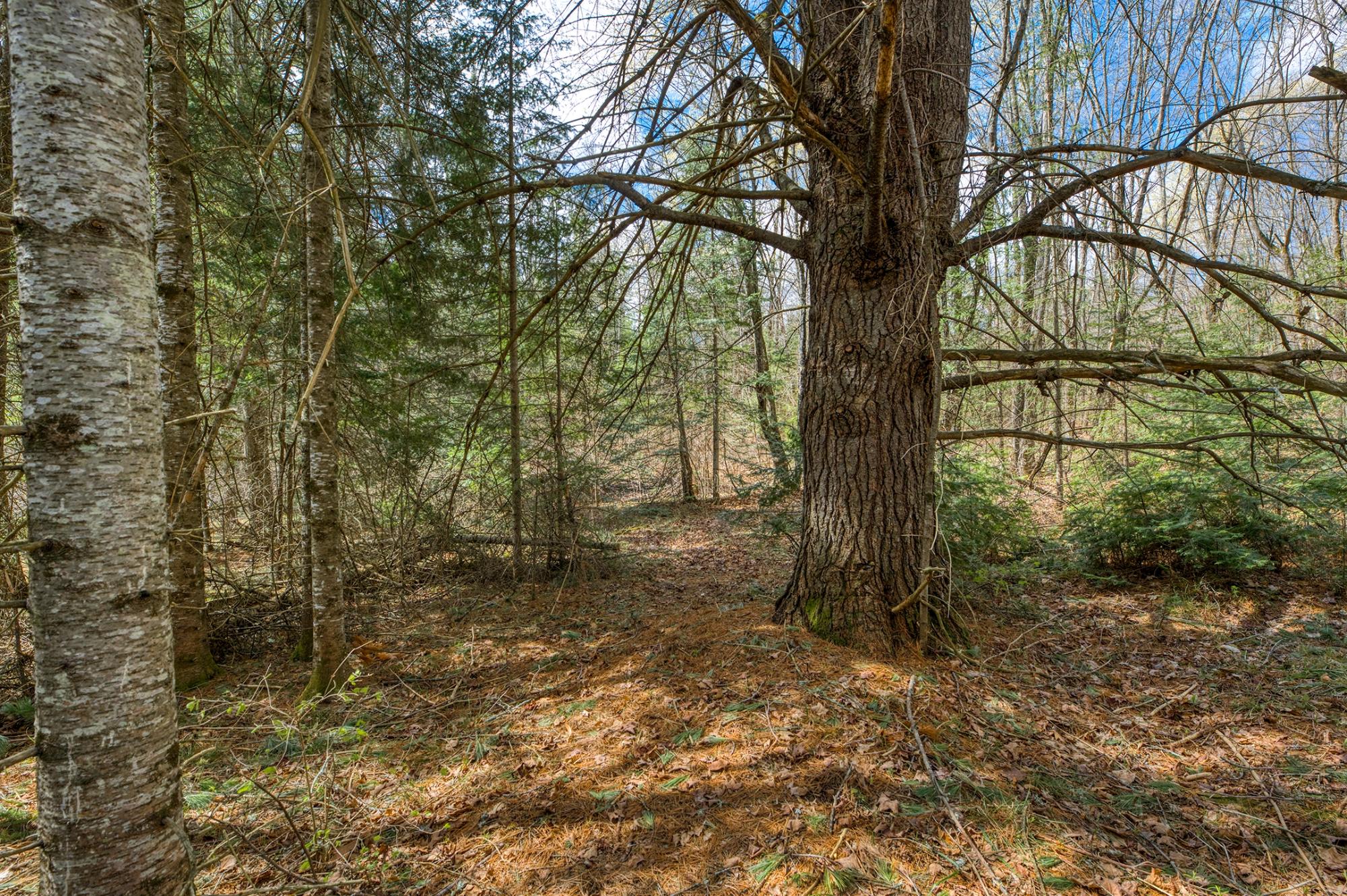 Indian Lake (L) Property 5718 Ottawa Ln Photo 54