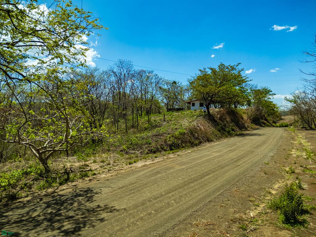  bed Land For Sale in Santa Cruz, Guanacaste - 1
