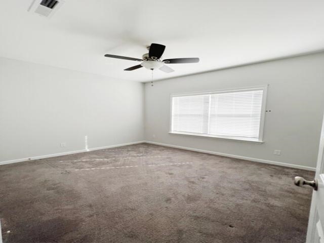 2612545 | Photo 2