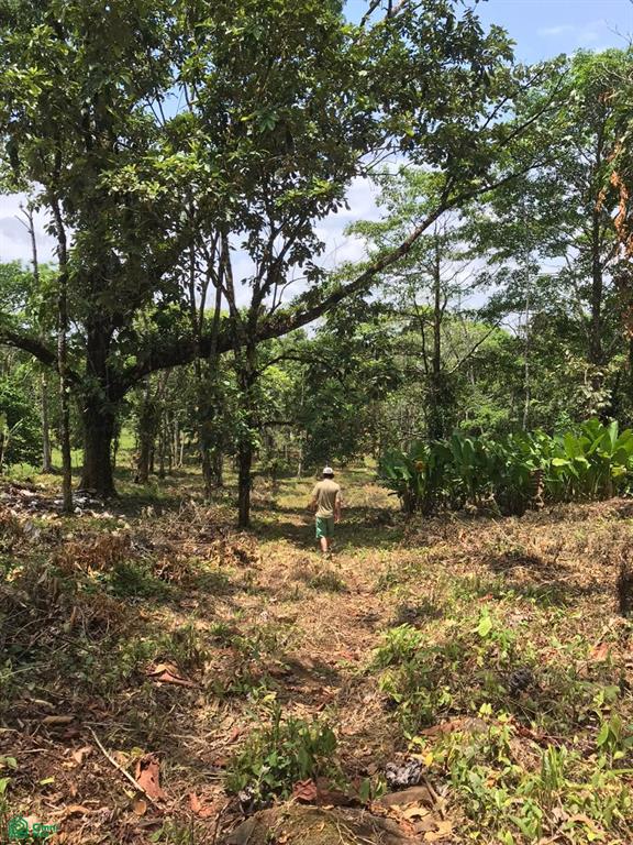  bed Land For Sale in Liberia, Guanacaste - 1