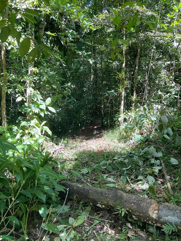  bed Land For Sale in Puriscal, San Jose - 1