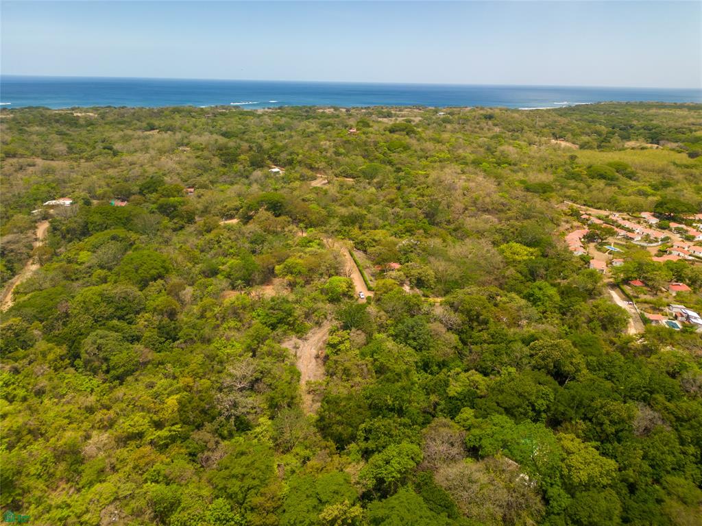  bed Land For Sale in Santa Cruz, Guanacaste - 1