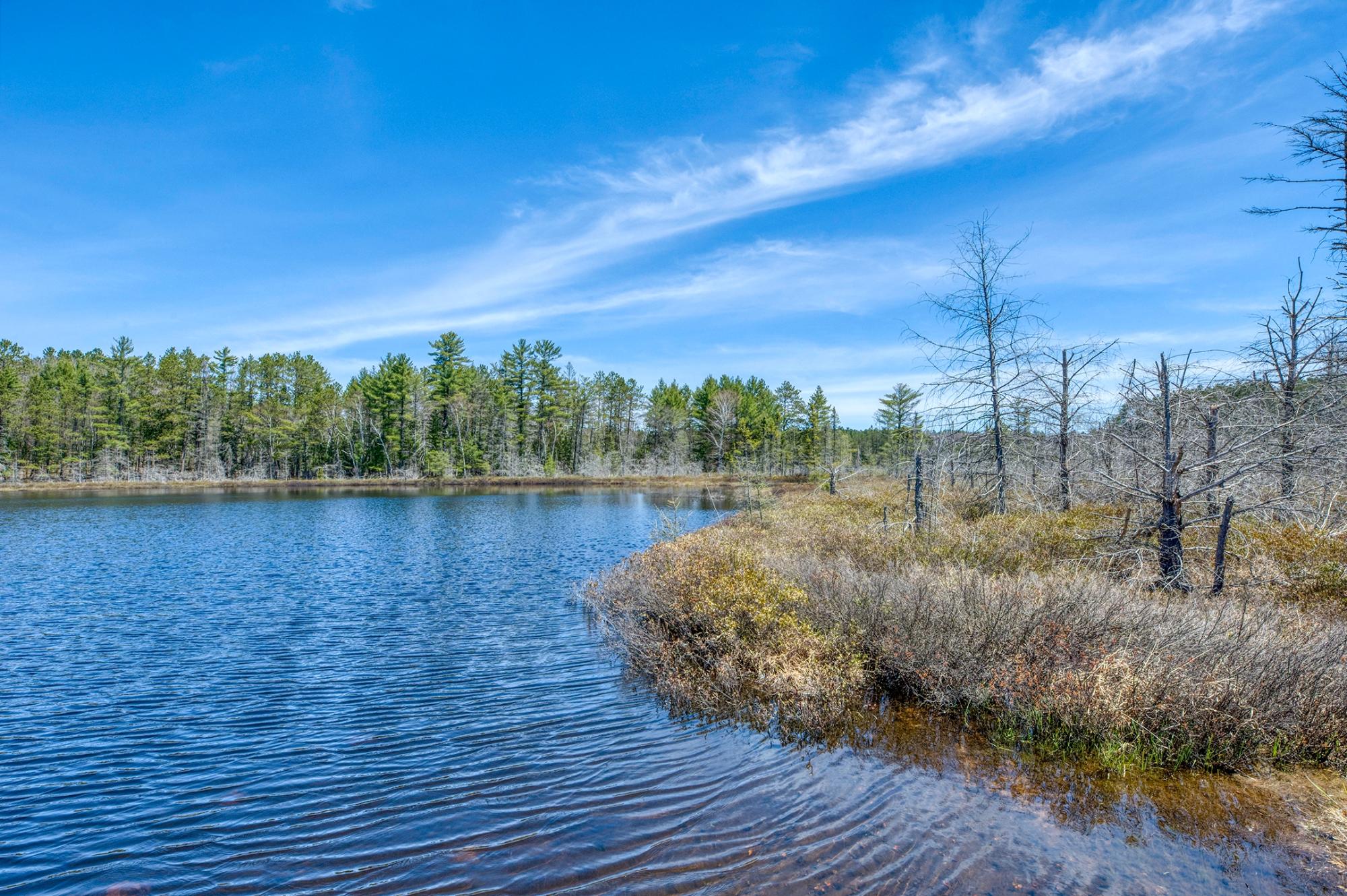Camp Twelve Lake Property 2814 Pickerel Lake Rd Photo 31