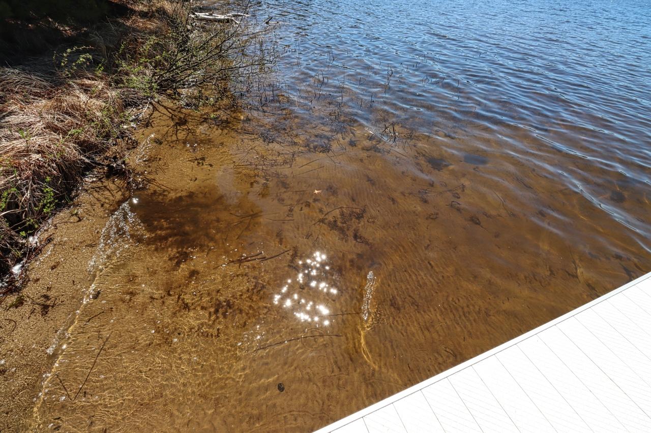Shishebogama Lake Property 12755 Duner Point Ln Photo 16