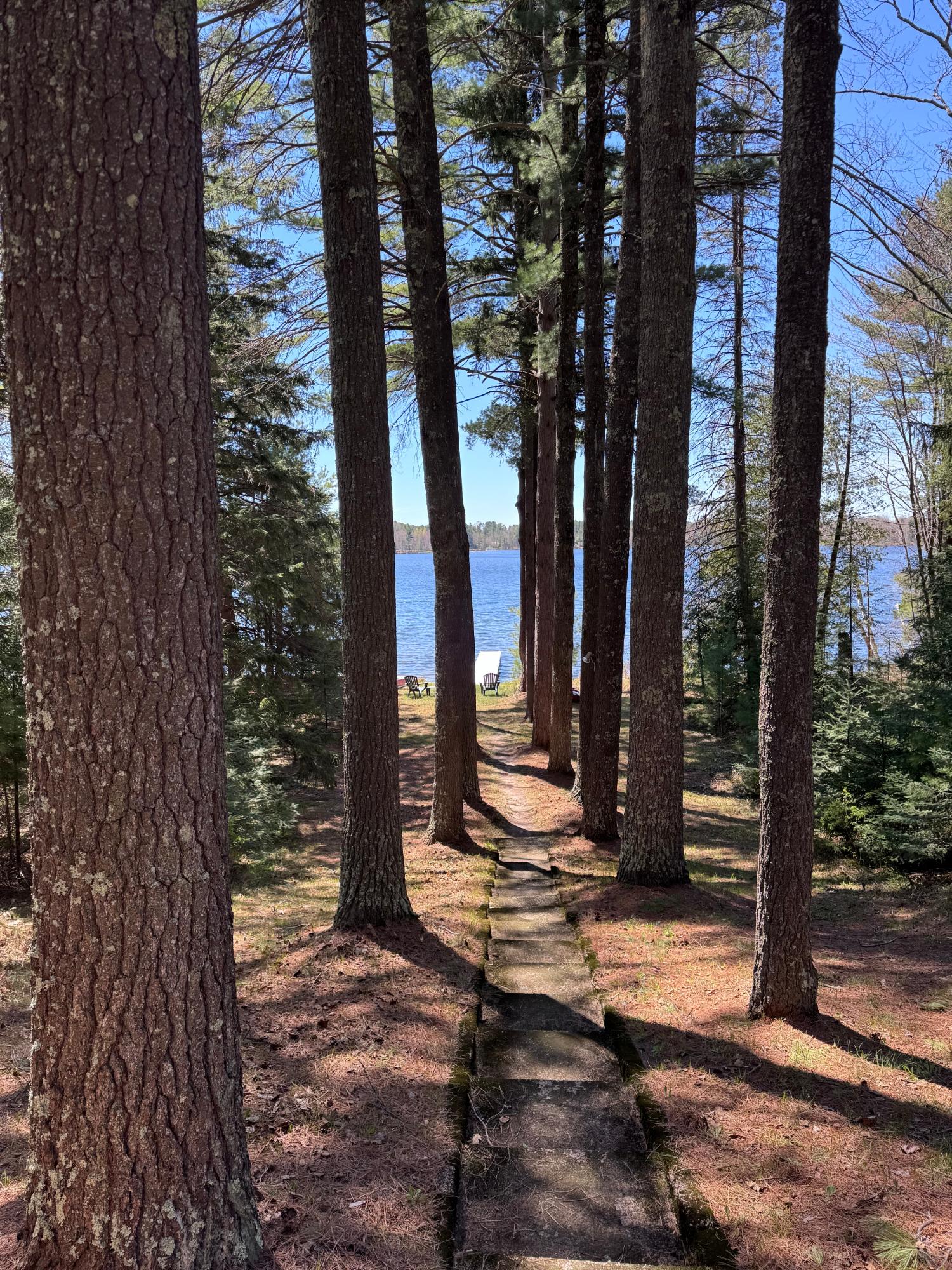 Shishebogama Lake Property 12755 Duner Point Ln Photo 7
