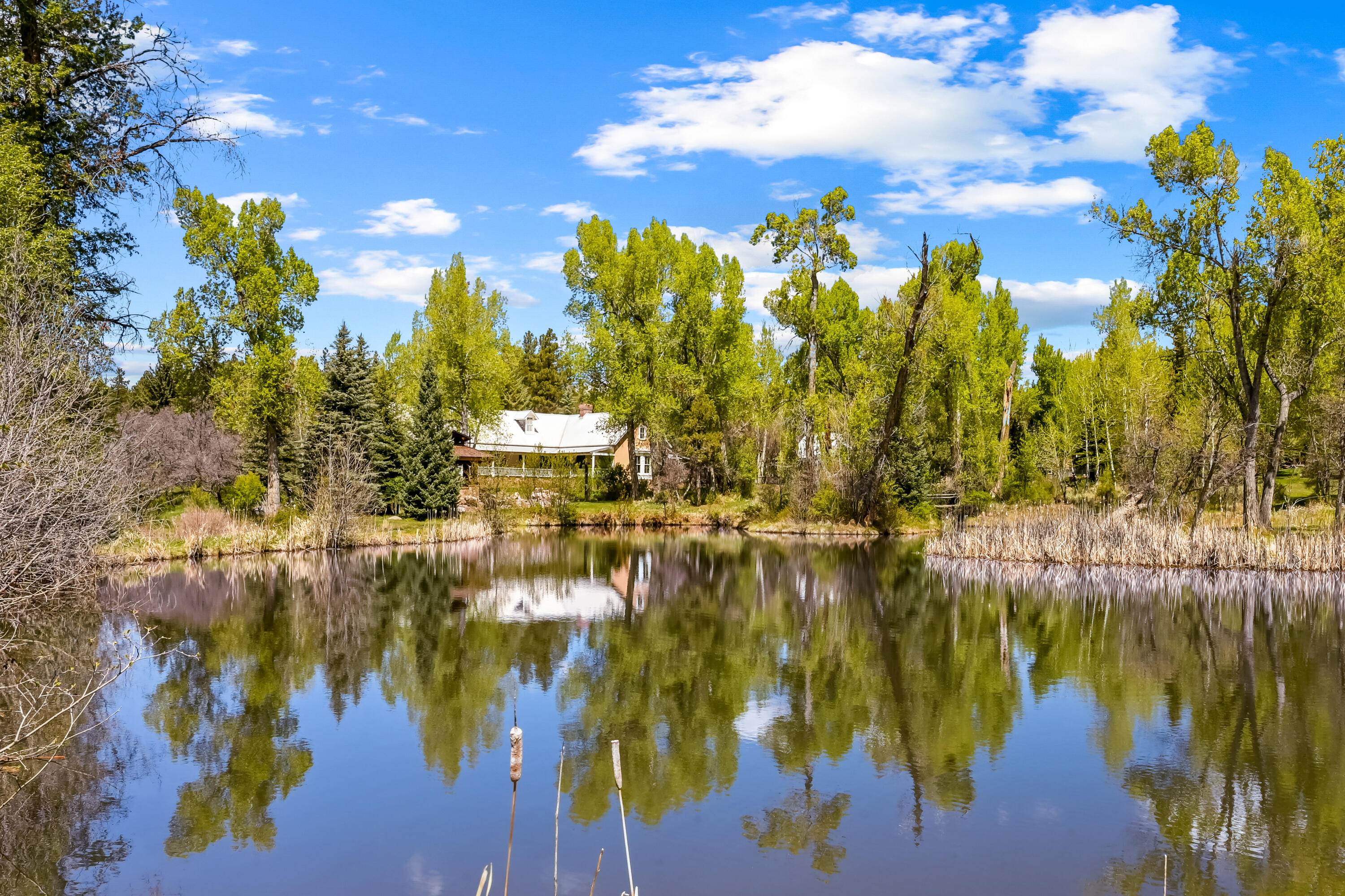 Homes for sale in Chama, NM | 220 County Road 342, Chama, NM 87520 | MLS# 1103705