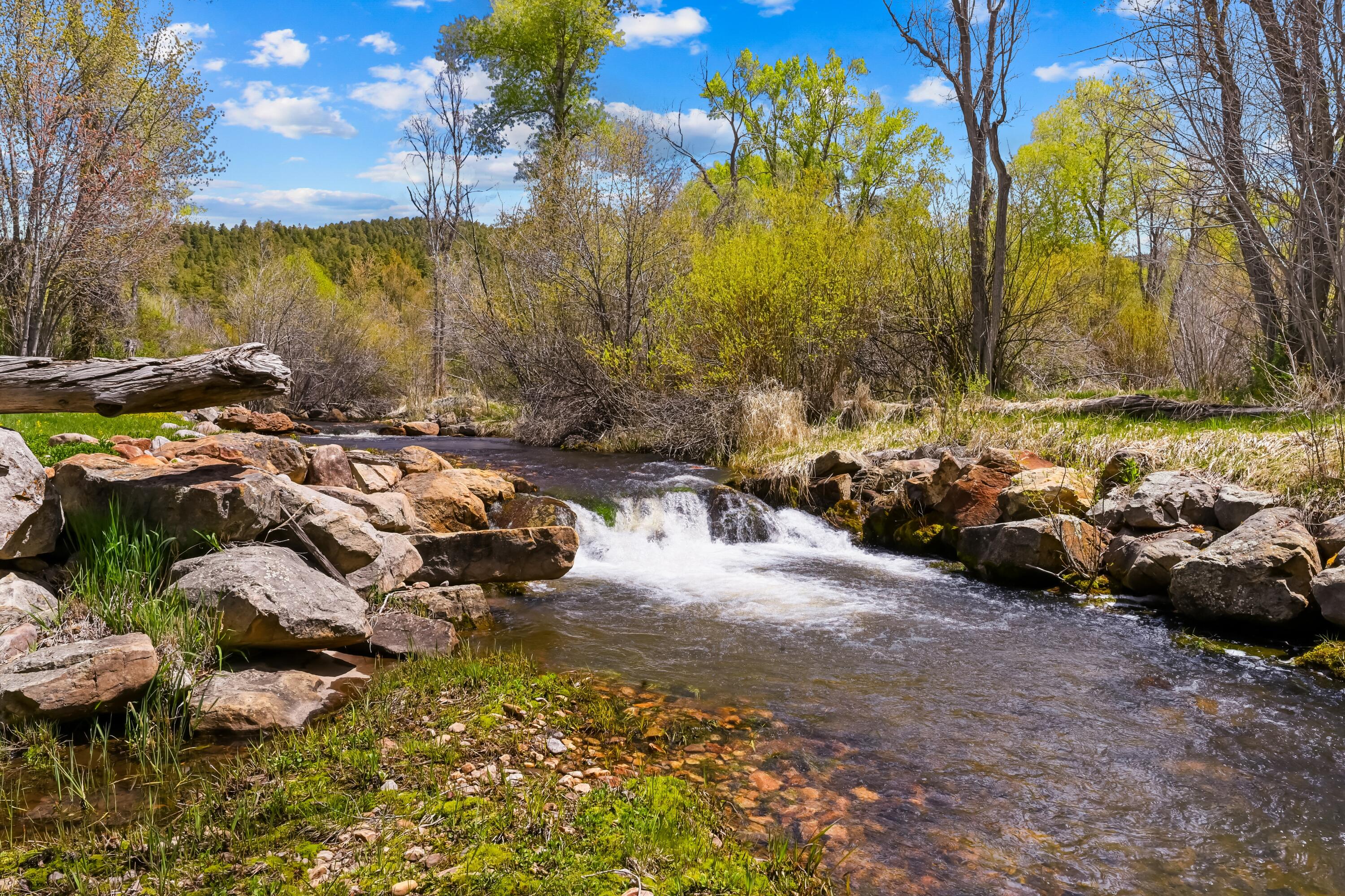 Homes for sale in Chama, NM | 220 County Road 342, Chama, NM 87520 | MLS# 1103705