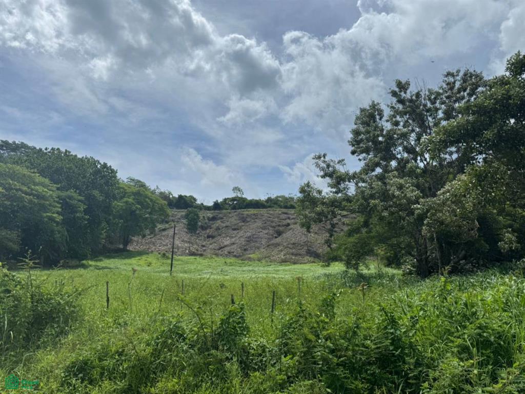 0 bed Land For Sale in Garabito, Puntarenas - 1