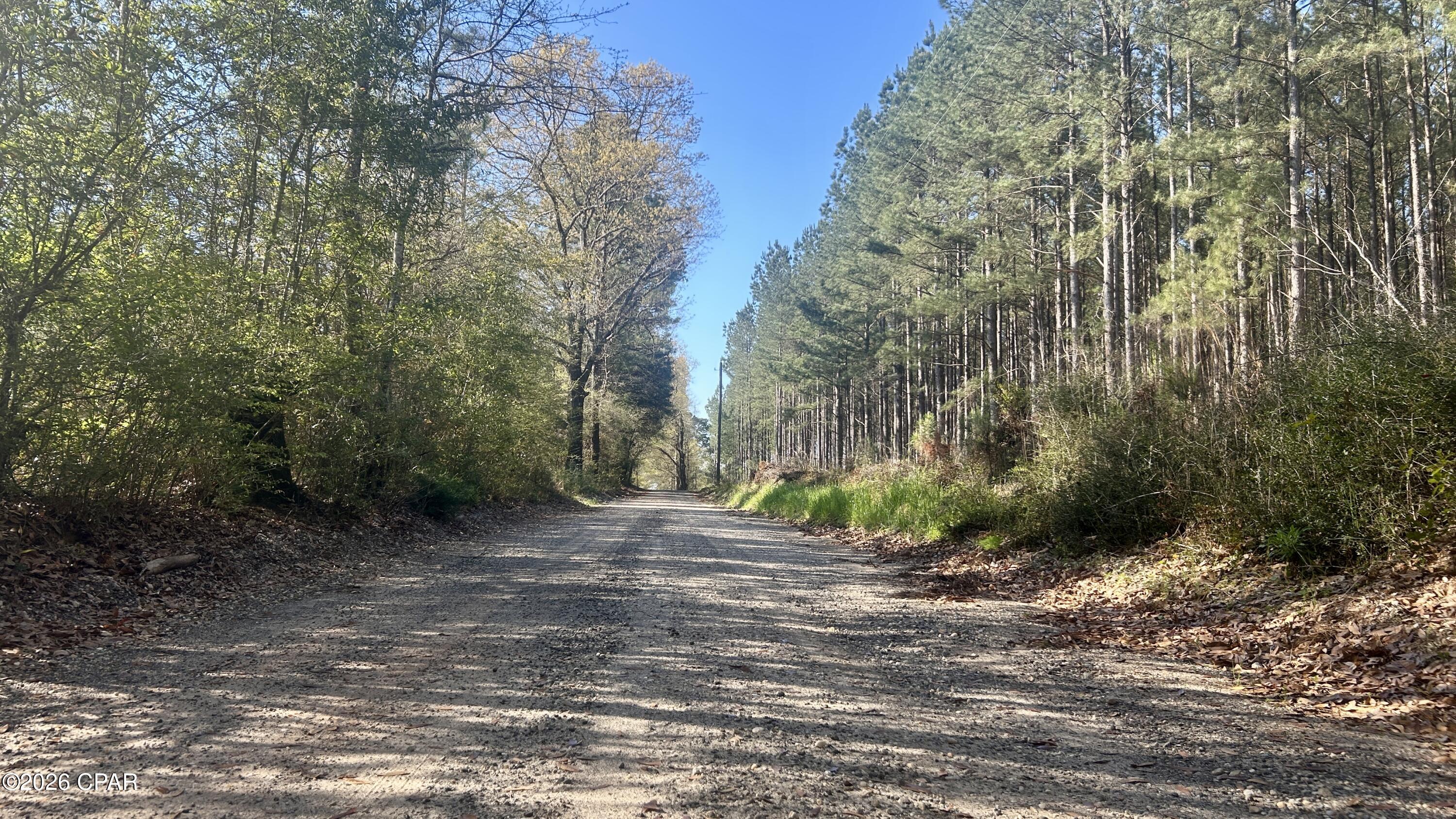 Homes for sale in Laurel Hill, FL | K Grimes Rd, Laurel Hill, FL 32567 | MLS# 790002
