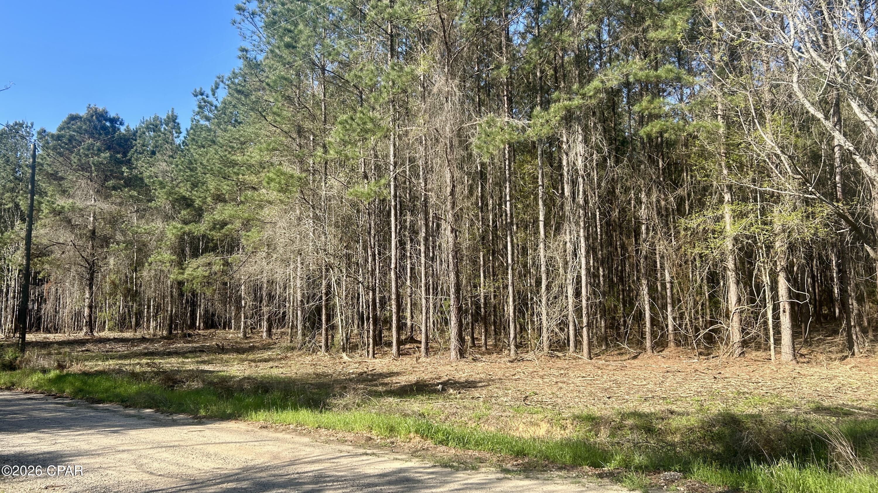 Homes for sale in Laurel Hill, FL | K Grimes Rd, Laurel Hill, FL 32567 | MLS# 790002