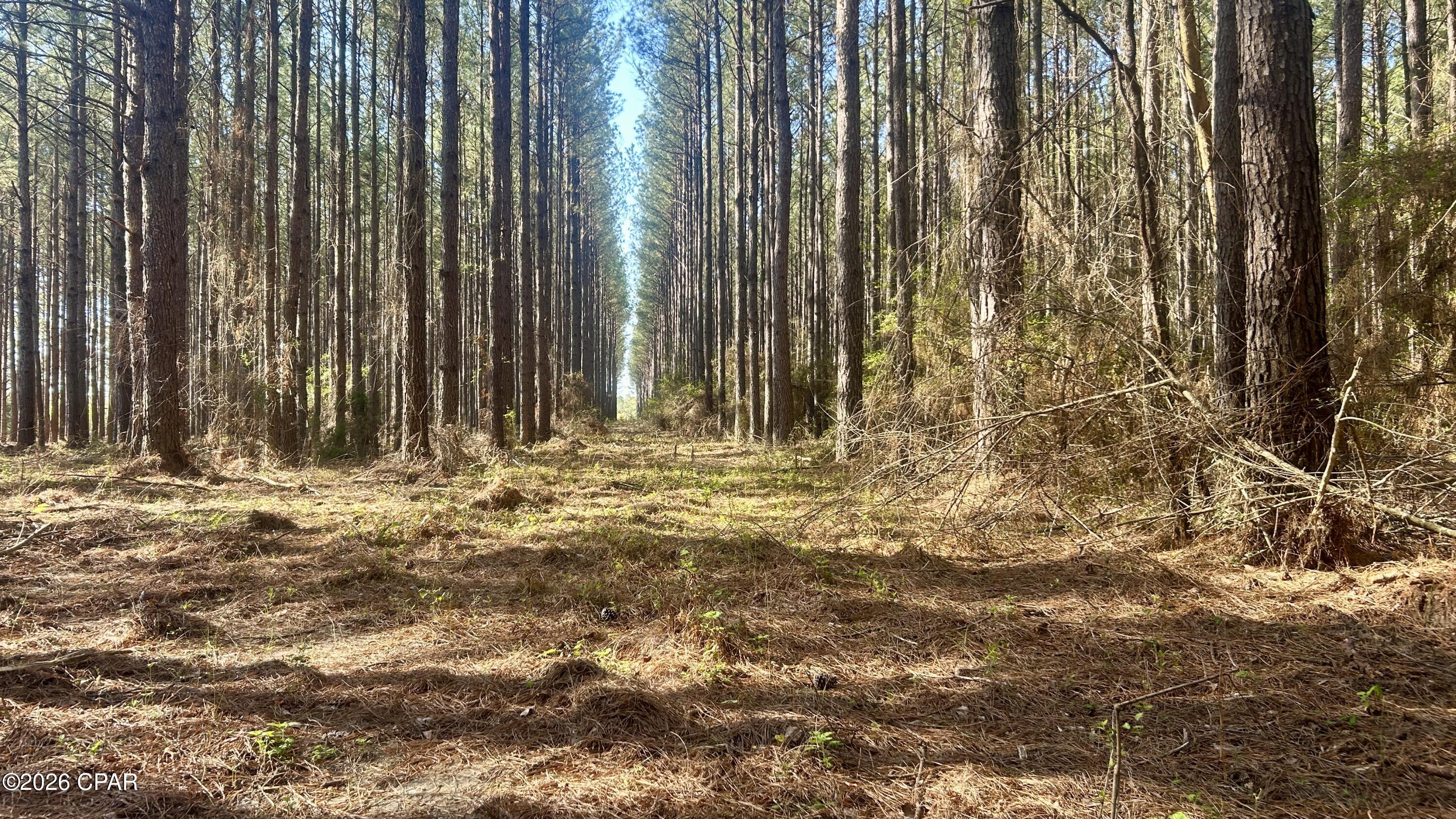 Homes for sale in Laurel Hill, FL | K Grimes Rd, Laurel Hill, FL 32567 | MLS# 790002