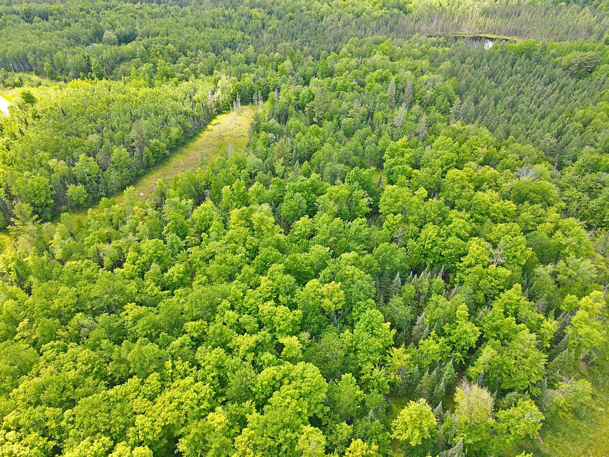 Undocumented Lake Property N13038 Hicks Landing Rd Photo 79