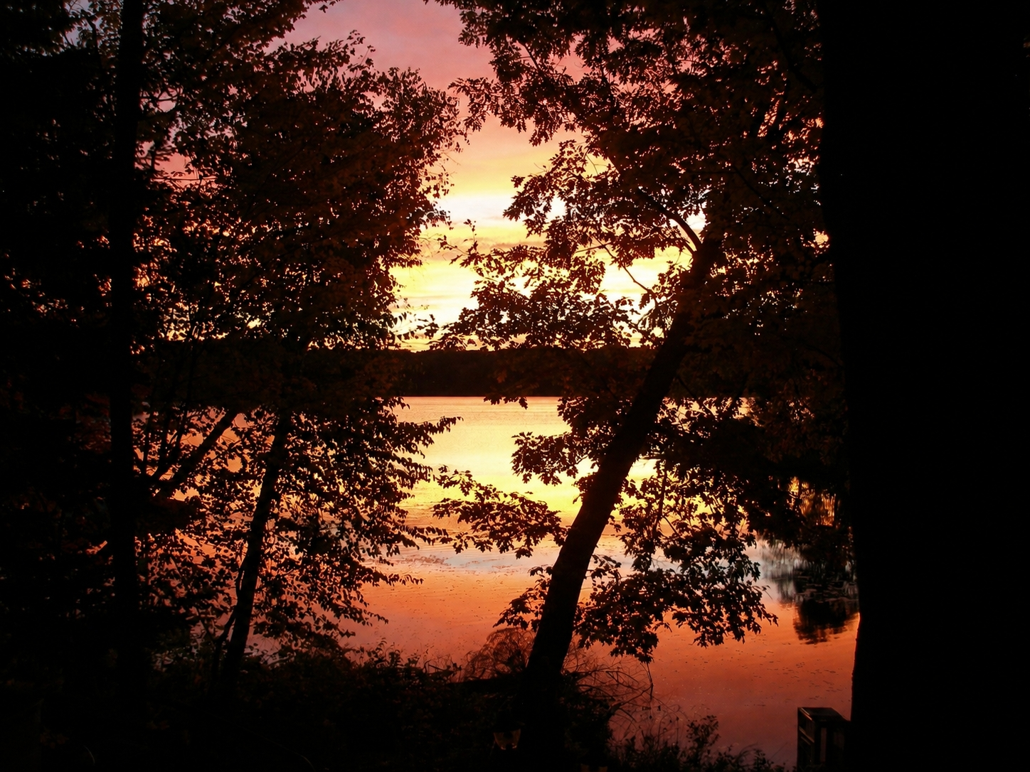 Flannery Lake Property 3944 Vets Memorial Dr Photo 3