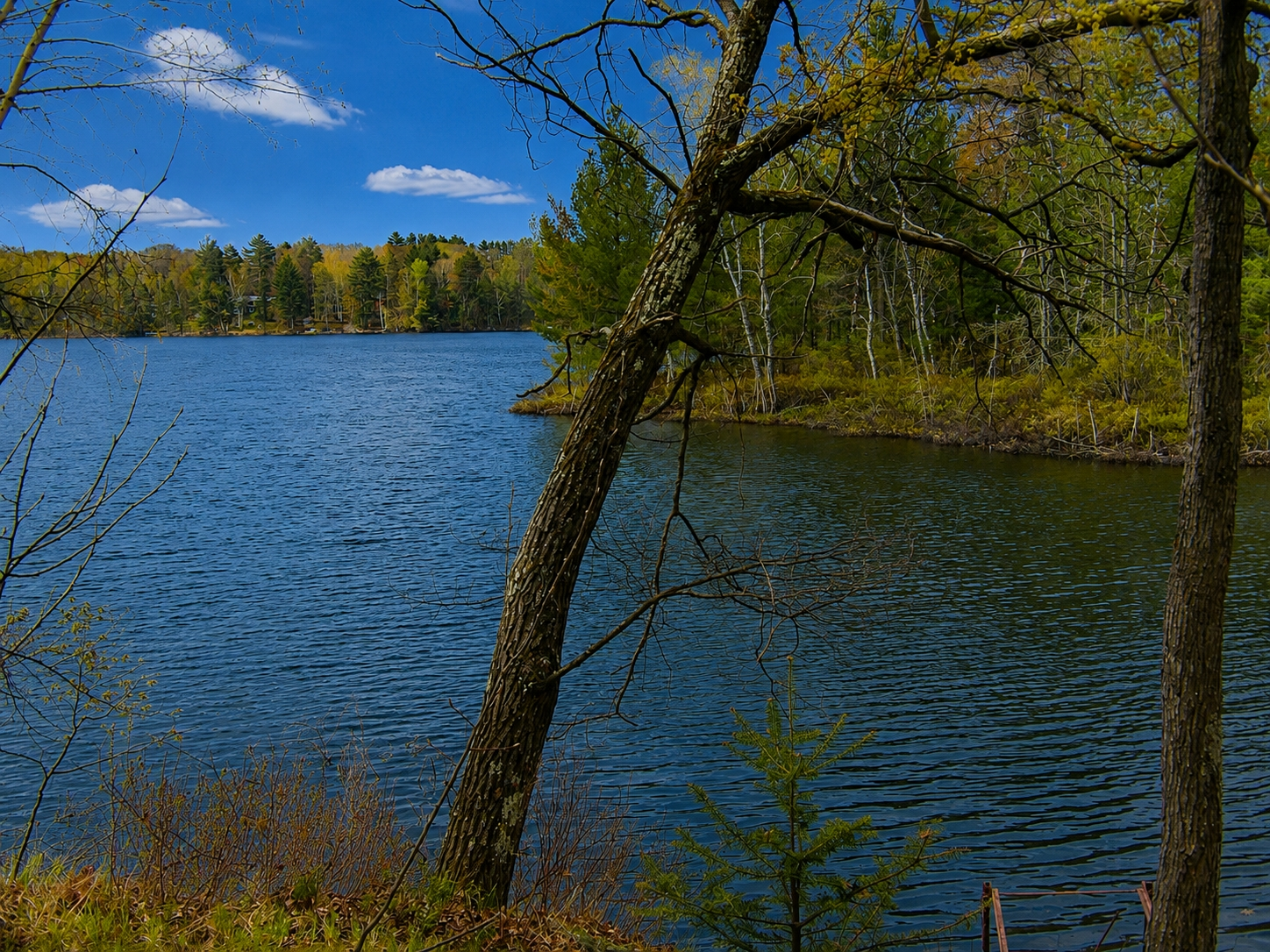 Flannery Lake Property 3944 Vets Memorial Dr Photo 6