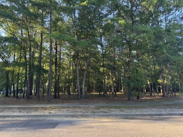 1791 Old Town Ave. Georgetown, SC 29440