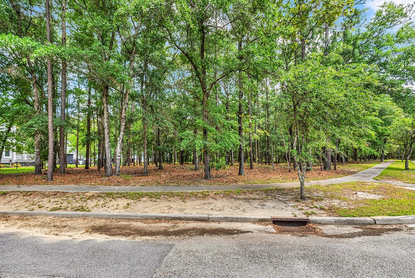 1791 Old Town Ave. Georgetown, SC 29440