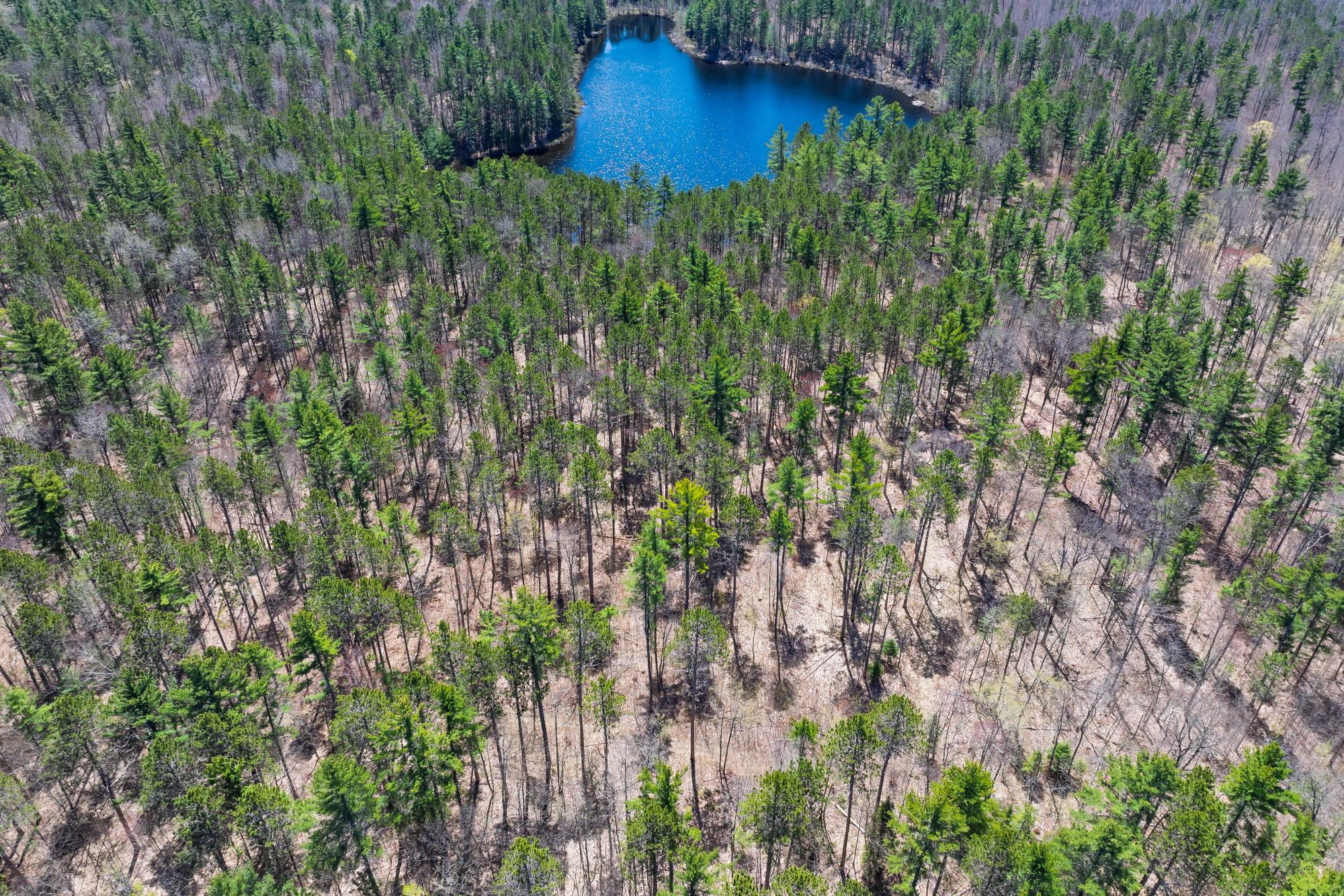 Undocumented Lake Property 2635 Boundary Tr E Photo 15