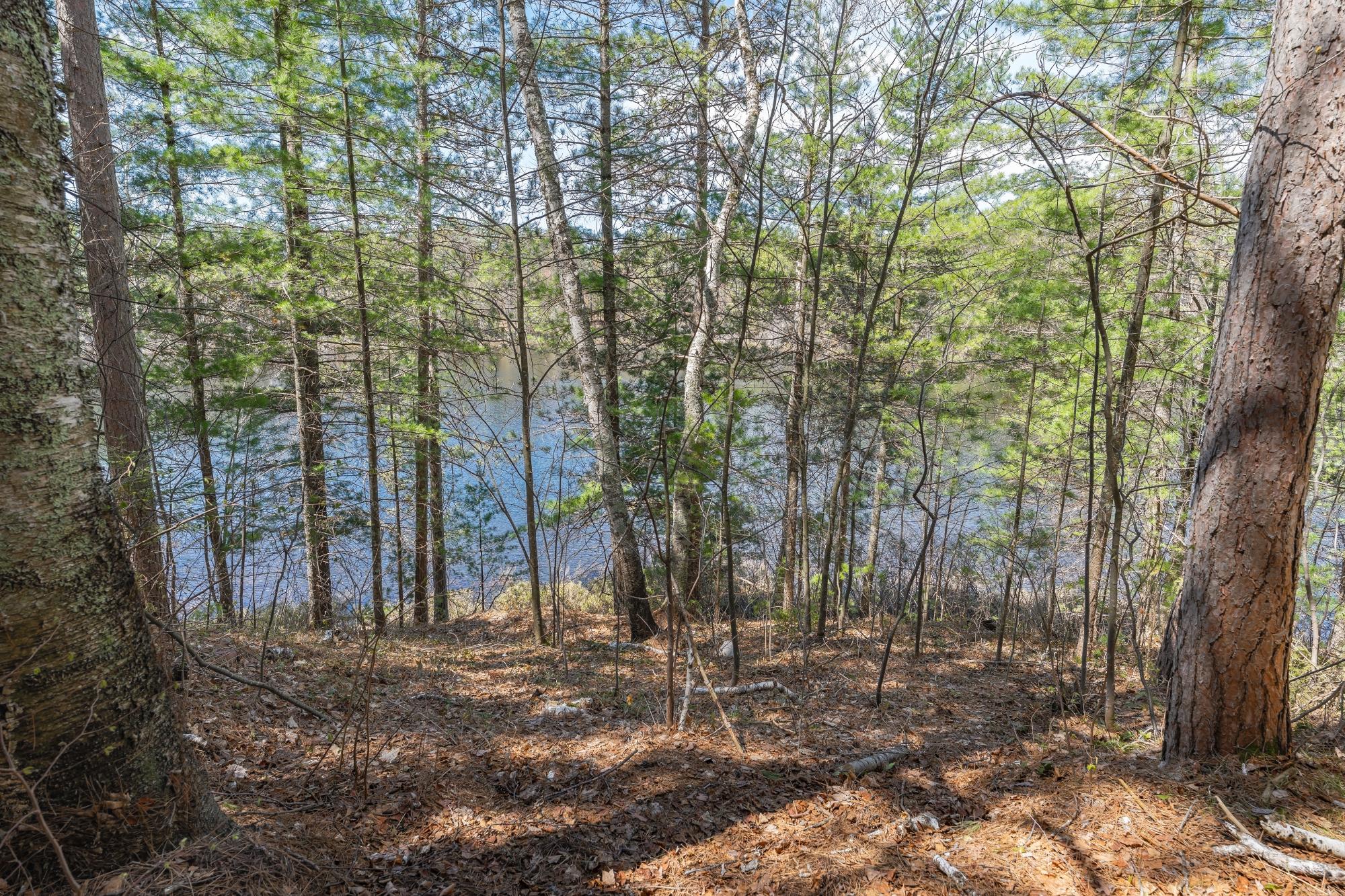 Undocumented Lake Property 2635 Boundary Tr E Photo 9