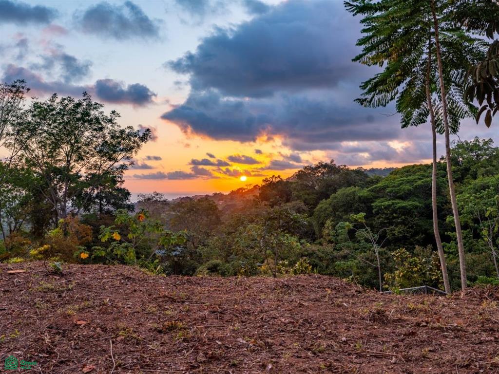 0 bed Land For Sale in Osa, Puntarenas - 1