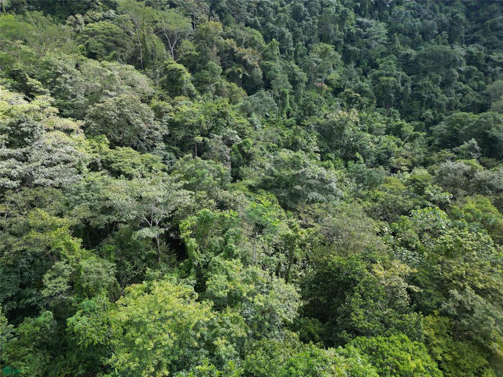  bed Land For Sale in Parrita, Puntarenas - 1