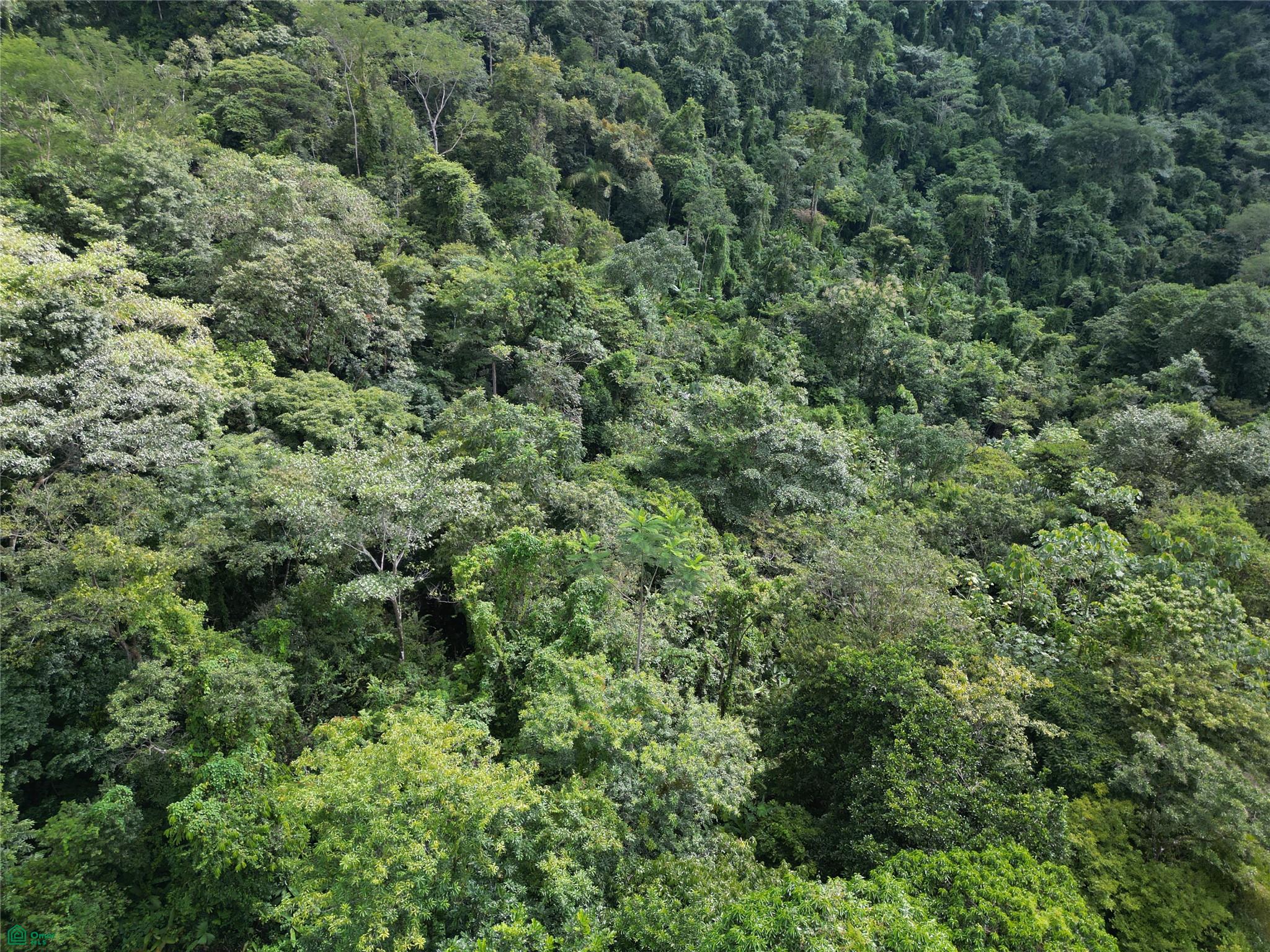  bed Land For Sale in Parrita, Puntarenas - 1