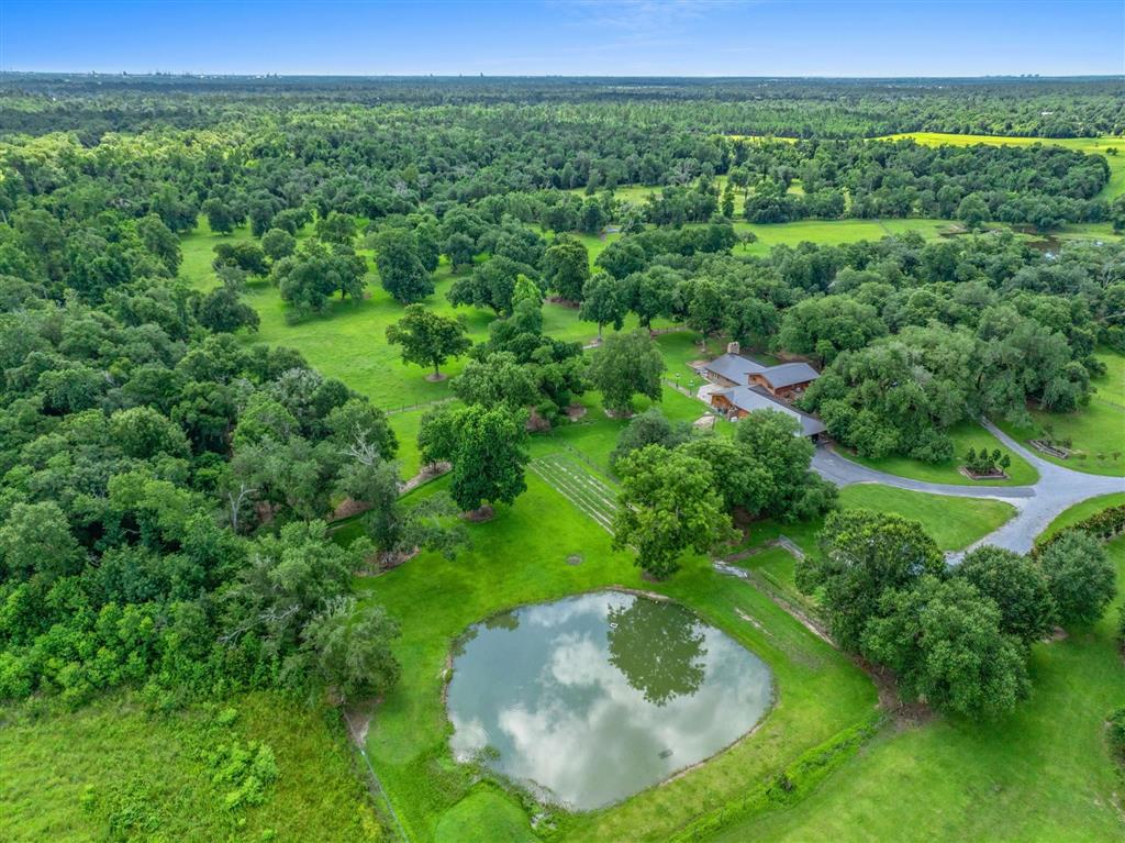4490 Choupique Road — photo 3