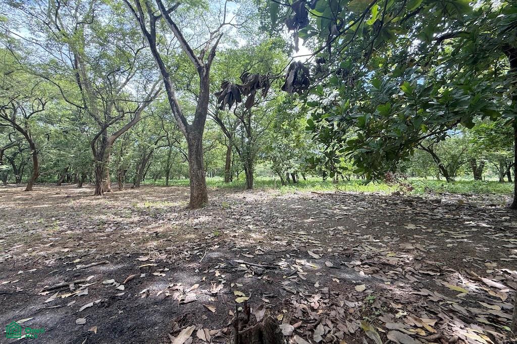 0 bed Single Family Homes For Sale in Santa Cruz, Guanacaste - 1