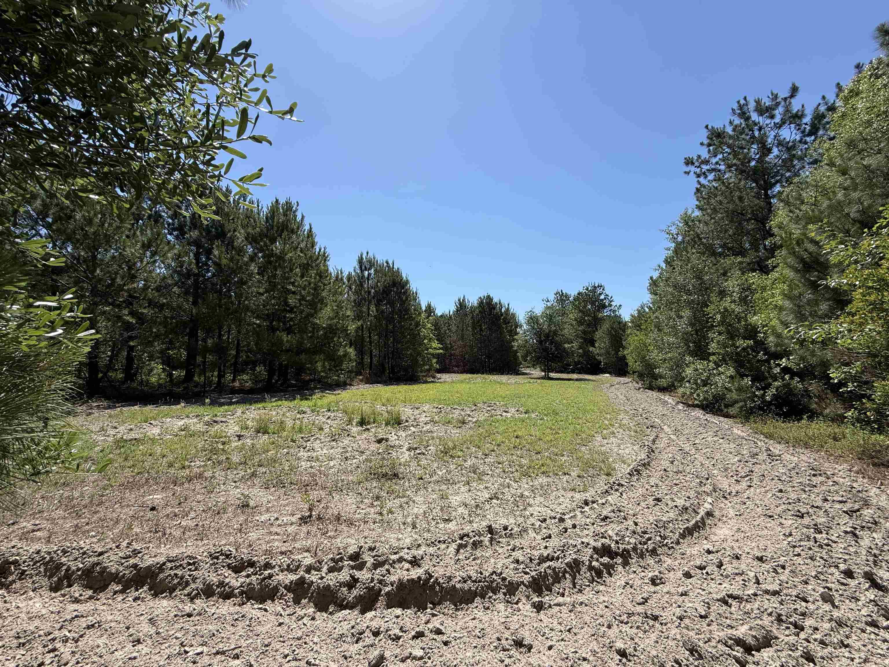 43 Acres - Juneburn Rd. Manning, SC 29102