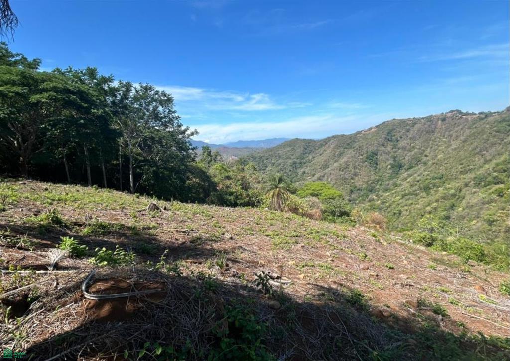  bed Land For Sale in Atenas, Alajuela - 1