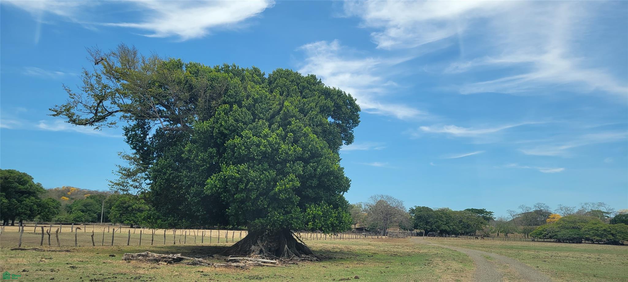  bed Land For Sale in Tamarindo, Guanacaste - 1