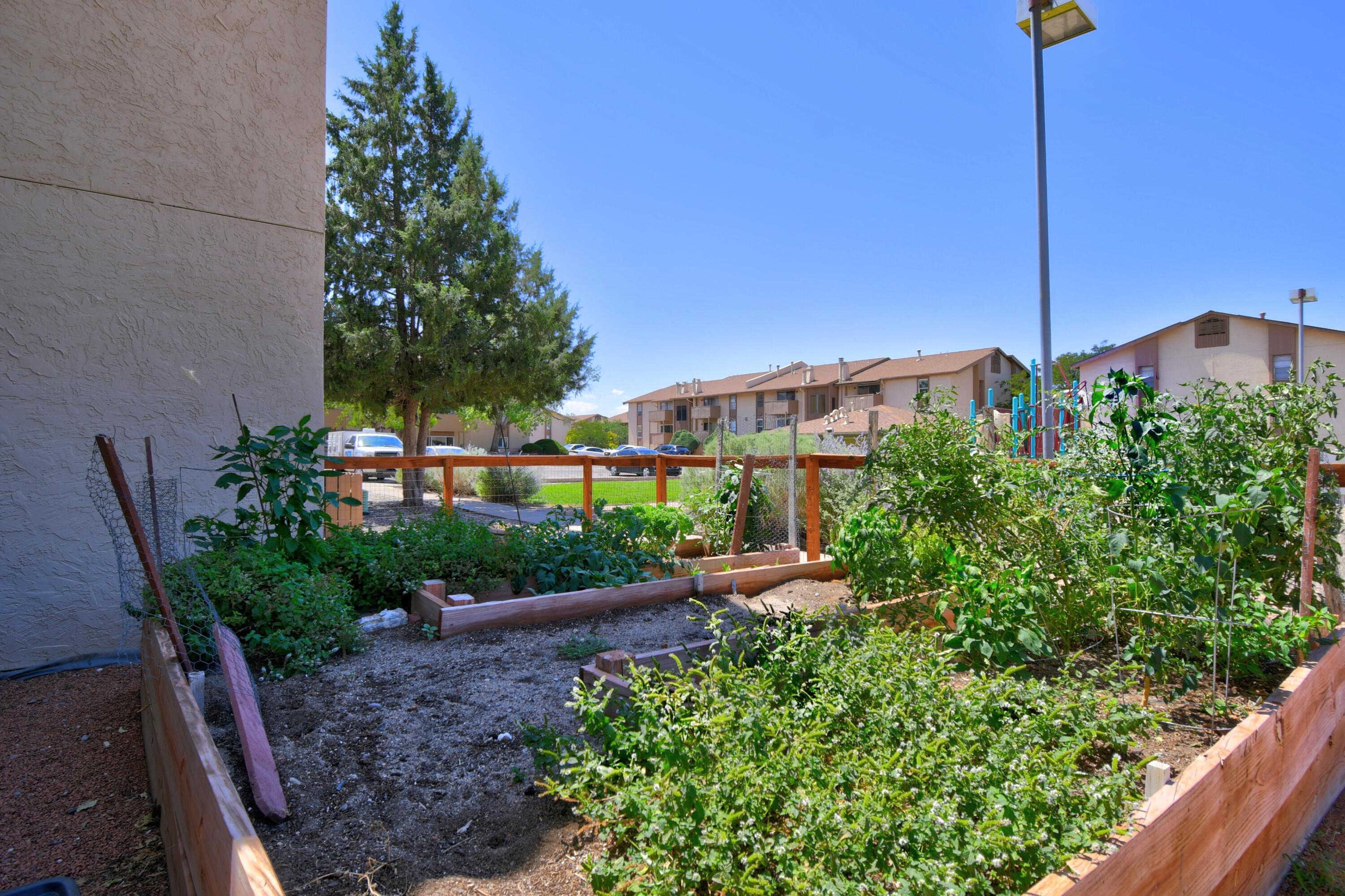 Photo 8 — 3833 Montgomery Boulevard NE APT 534