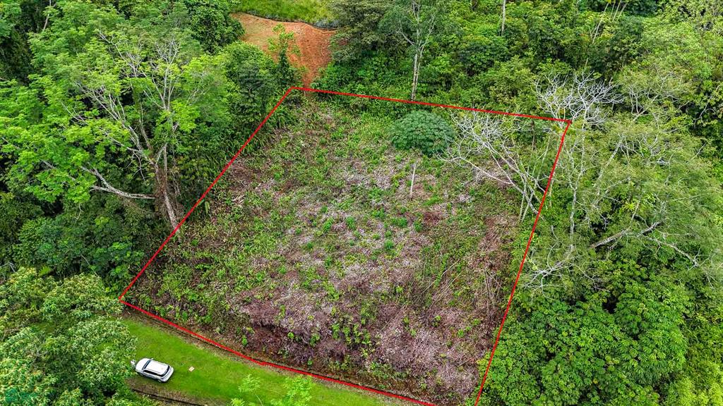  bed Land For Sale in Osa, Puntarenas - 1