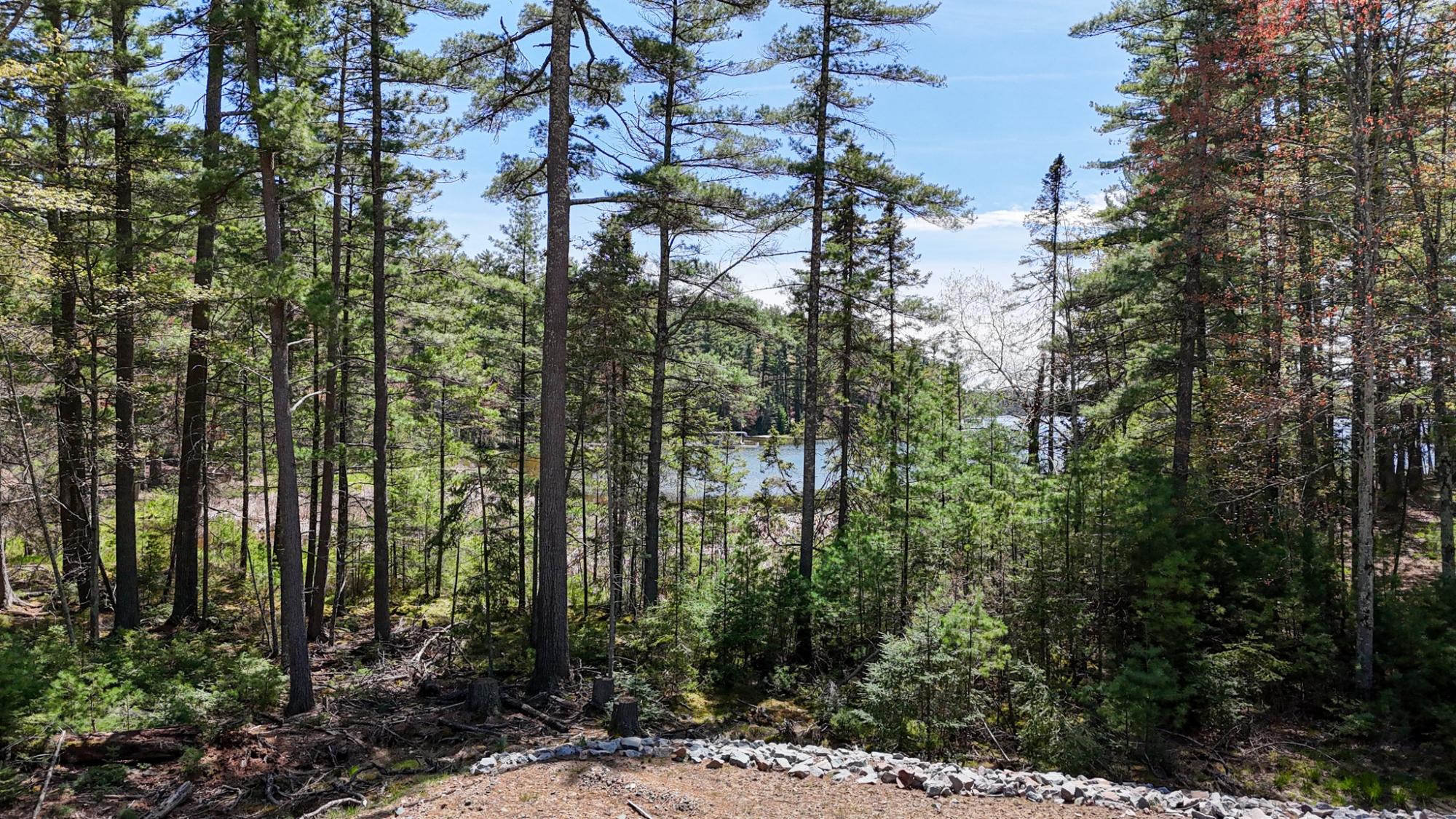 Lake Content Property ON Awassa Ln Photo 9