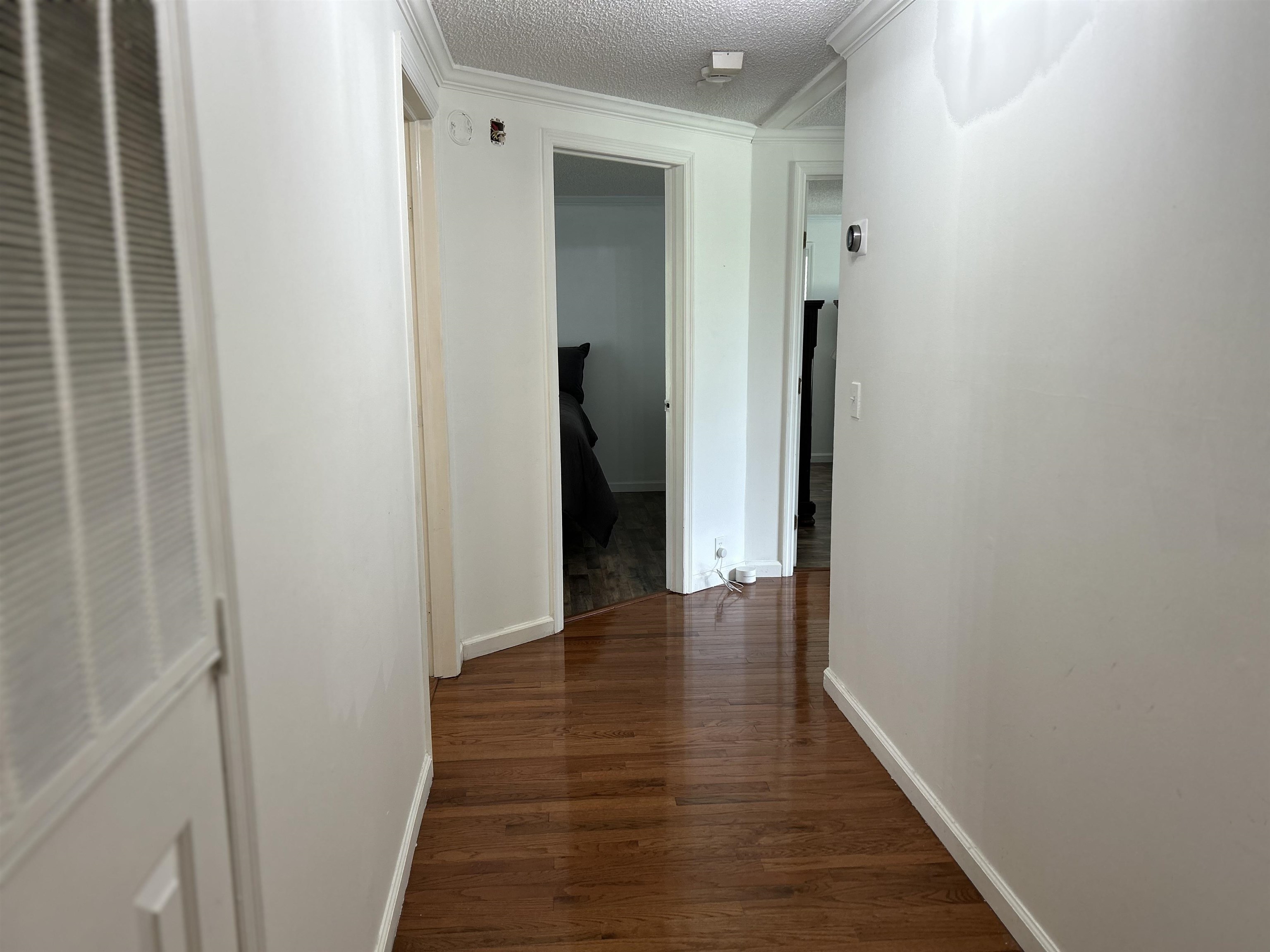 2613344 | Photo 27