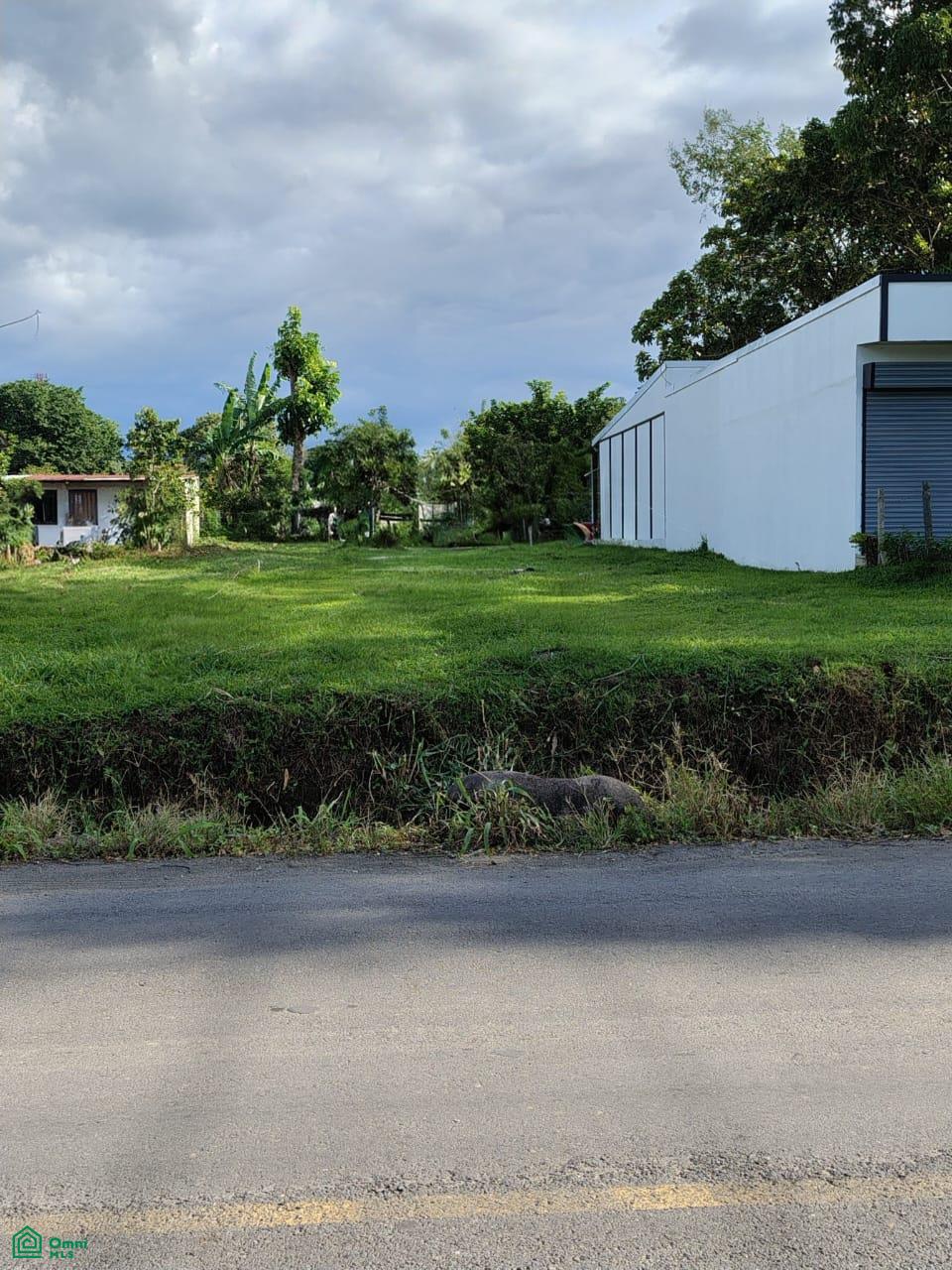  bed Land For Sale in Pococi, Limon - 1