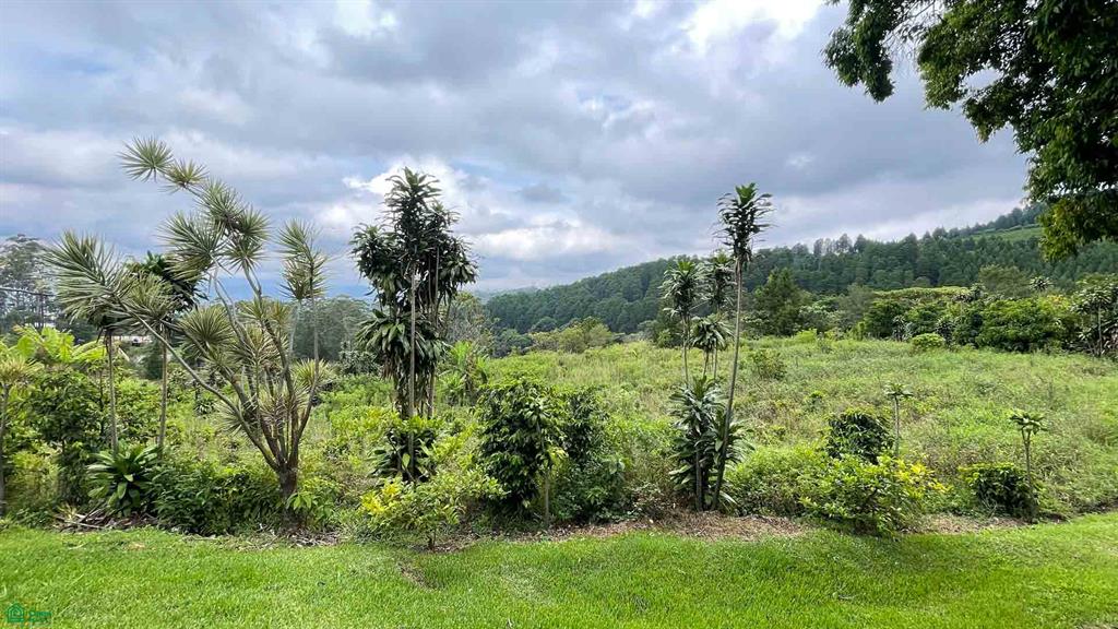  bed Land For Sale in Grecia, Alajuela - 1