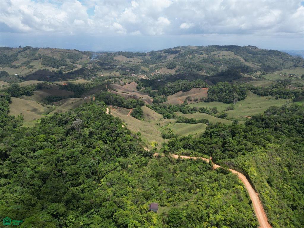  bed Land For Sale in Puntarenas, Puntarenas - 1