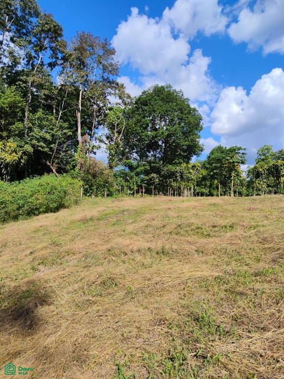 2 bed Single Family Homes For Sale in Guatuso, Alajuela - 1